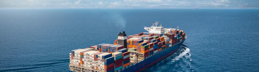 Près de 3.000 vaches bloquées sur un cargo au large de la Turquie