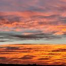 Onet-Village 12/11/2025