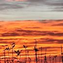 Salles-la-Source 12/11/2025