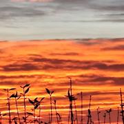 Salles-la-Source 12/11/2025