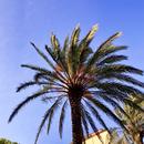 Canet-en-Roussillon 15/11/2025