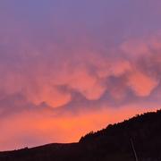 Sondernach 15/11/2025