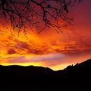 Elsenheim 16/11/2025