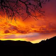 Elsenheim 16/11/2025