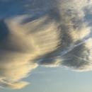 Courtenay 16/11/2025