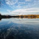 Courtenay 16/11/2025