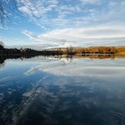 Courtenay 16/11/2025