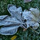 Nogent-le-Rotrou 18/11/2025