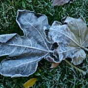 Nogent-le-Rotrou 18/11/2025