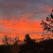 Guibeville 19/11/2025