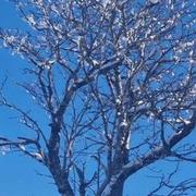 Col du Pourtalet 20/11/2025