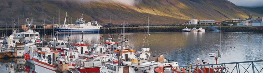 Pêcher en Islande : un paradis quasi annuel pour les passionnés