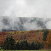 Bersac-sur-Rivalier 08/11/2010