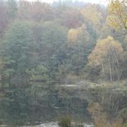 Bersac-sur-Rivalier 08/11/2010