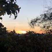 Romans-sur-Isère 23/11/2025