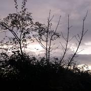 Romans-sur-Isère 23/11/2025