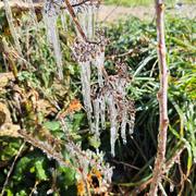 Onet-Village 24/11/2025