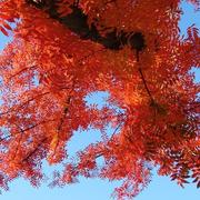 Sacramento 08/11/2010