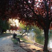 Sacramento 08/11/2010