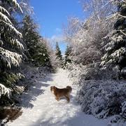 La Petite-Fosse 27/11/2025