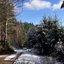 La Petite-Fosse 02/12/2025