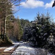 La Petite-Fosse 02/12/2025