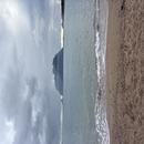 Murta Maria 03/12/2025