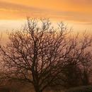 La Motte-Saint-Jean 04/12/2025