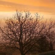 La Motte-Saint-Jean 04/12/2025