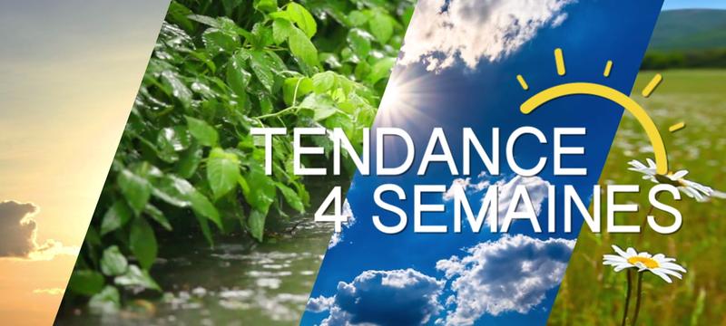  Tendance météo à 4 semaines (début Décembre à début Janvier)
