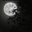 Saint-Ouen-l'Aumône 04/12/2025