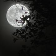 Saint-Ouen-l'Aumône 04/12/2025