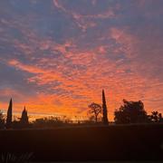 Carbon-Blanc 05/12/2025