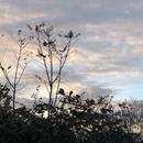 Romans-sur-Isère 09/12/2025