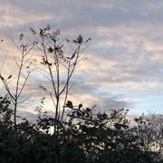 Romans-sur-Isère 09/12/2025