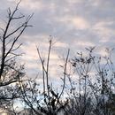 Romans-sur-Isère 09/12/2025