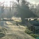 Conflandey 10/12/2025