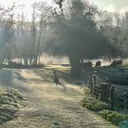 Conflandey 10/12/2025