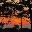 Pyla-sur-Mer 11/12/2025