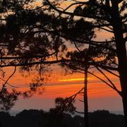 Pyla-sur-Mer 11/12/2025