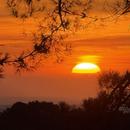 Pyla-sur-Mer 11/12/2025