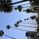 Los Angeles 13/12/2025