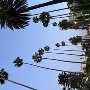 Los Angeles 13/12/2025