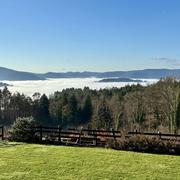 Saint-Dié-des-Vosges 14/12/2025