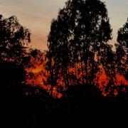 Rustiques 15/12/2025