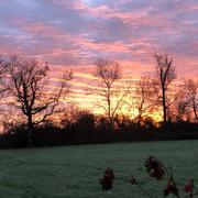 Ludon-Médoc 16/12/2025