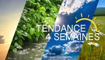 Tendance 4 Semaines