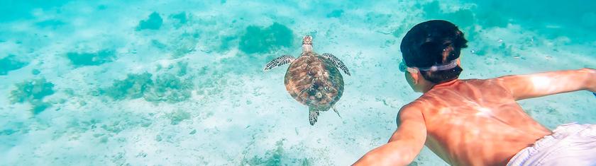 Les eaux cristallines des Philippines, immersion au cœur d’un archipel taillé pour la plongée