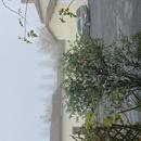 Saint-Martin-l'Ars 24/12/2025