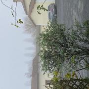 Saint-Martin-l'Ars 24/12/2025